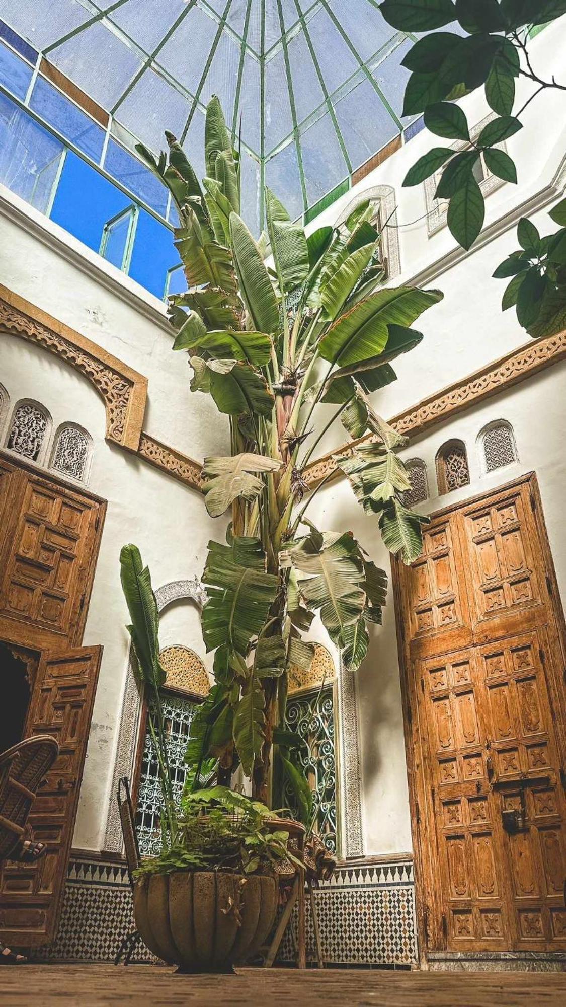 Frühstückspension Kasbah
